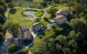 Sasseta Alta