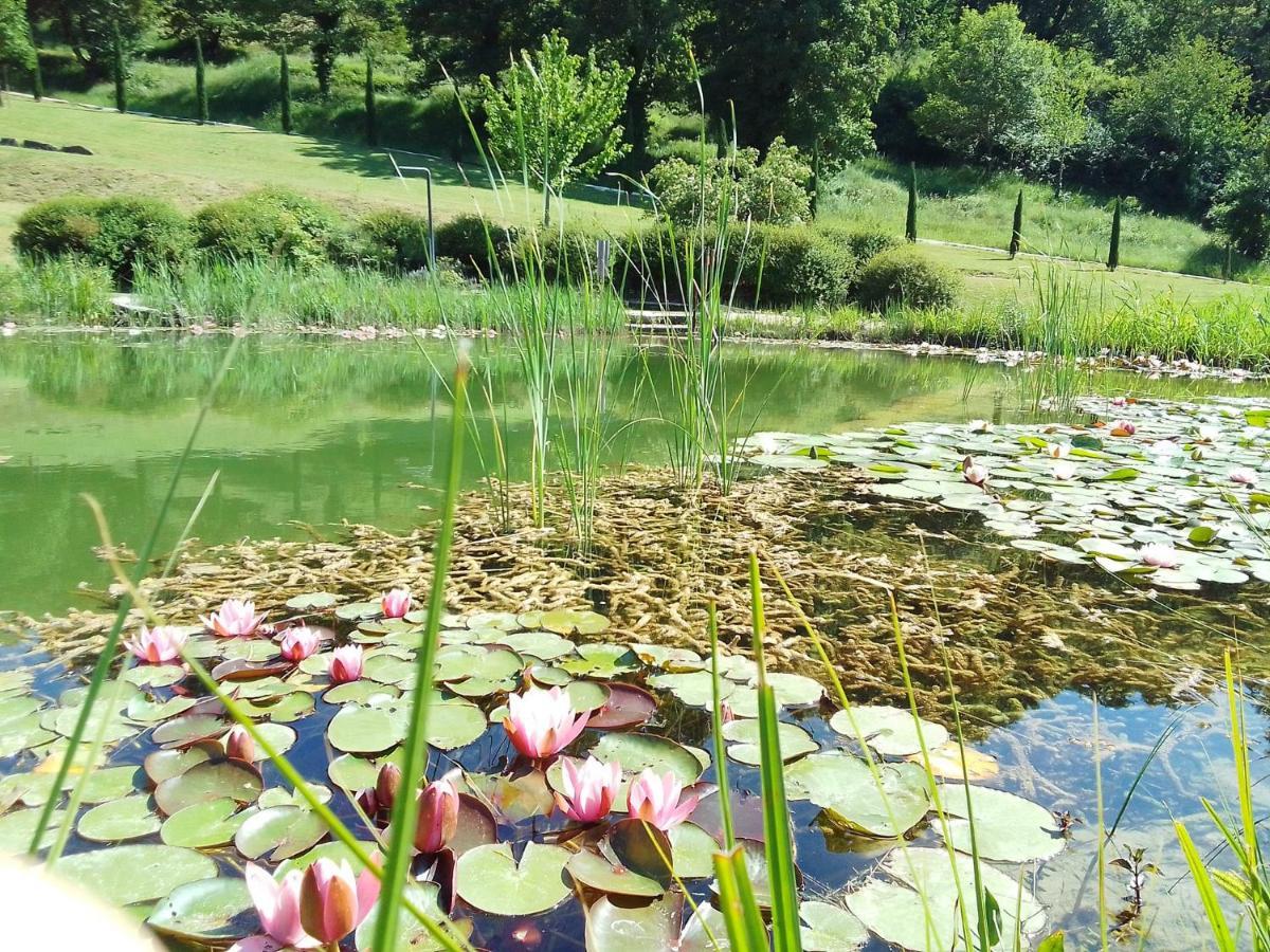Sasseta Alta Villa Scansano Buitenkant foto