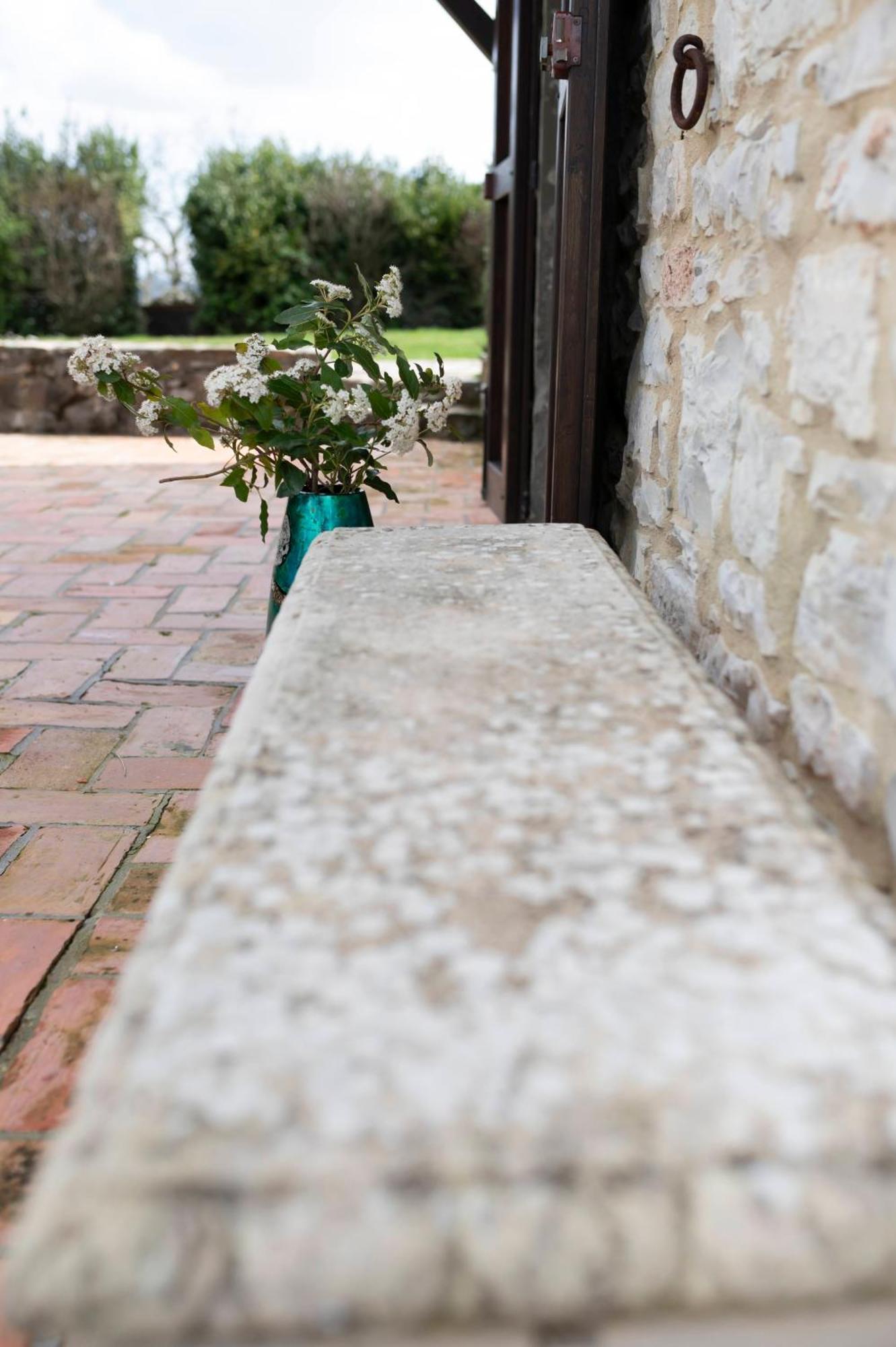Sasseta Alta Villa Scansano Buitenkant foto