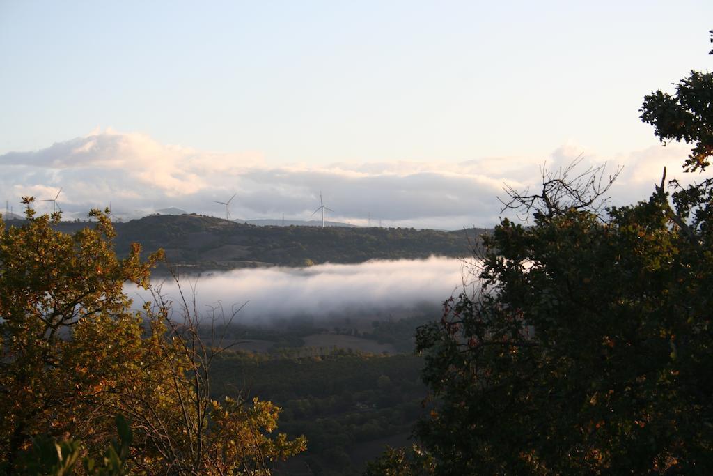Sasseta Alta Villa Scansano Buitenkant foto