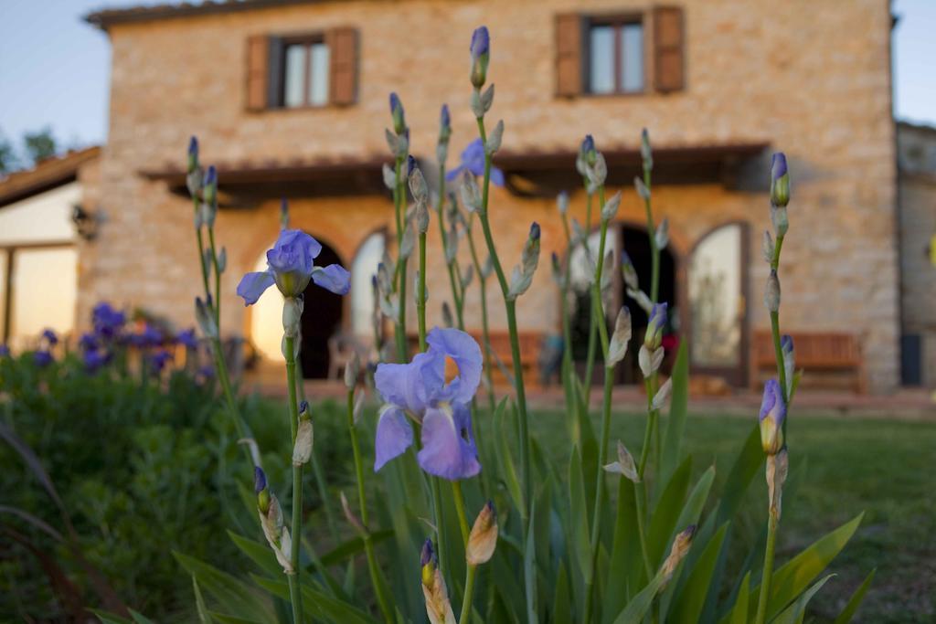 Sasseta Alta Villa Scansano Buitenkant foto