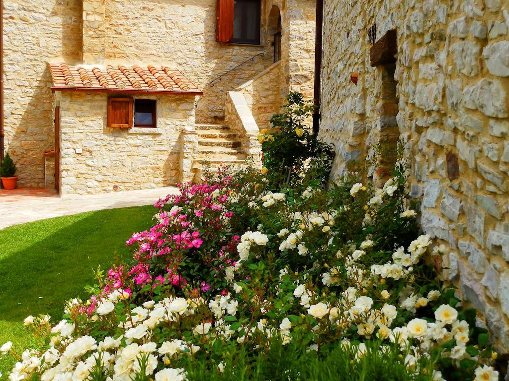 Sasseta Alta Villa Scansano Buitenkant foto